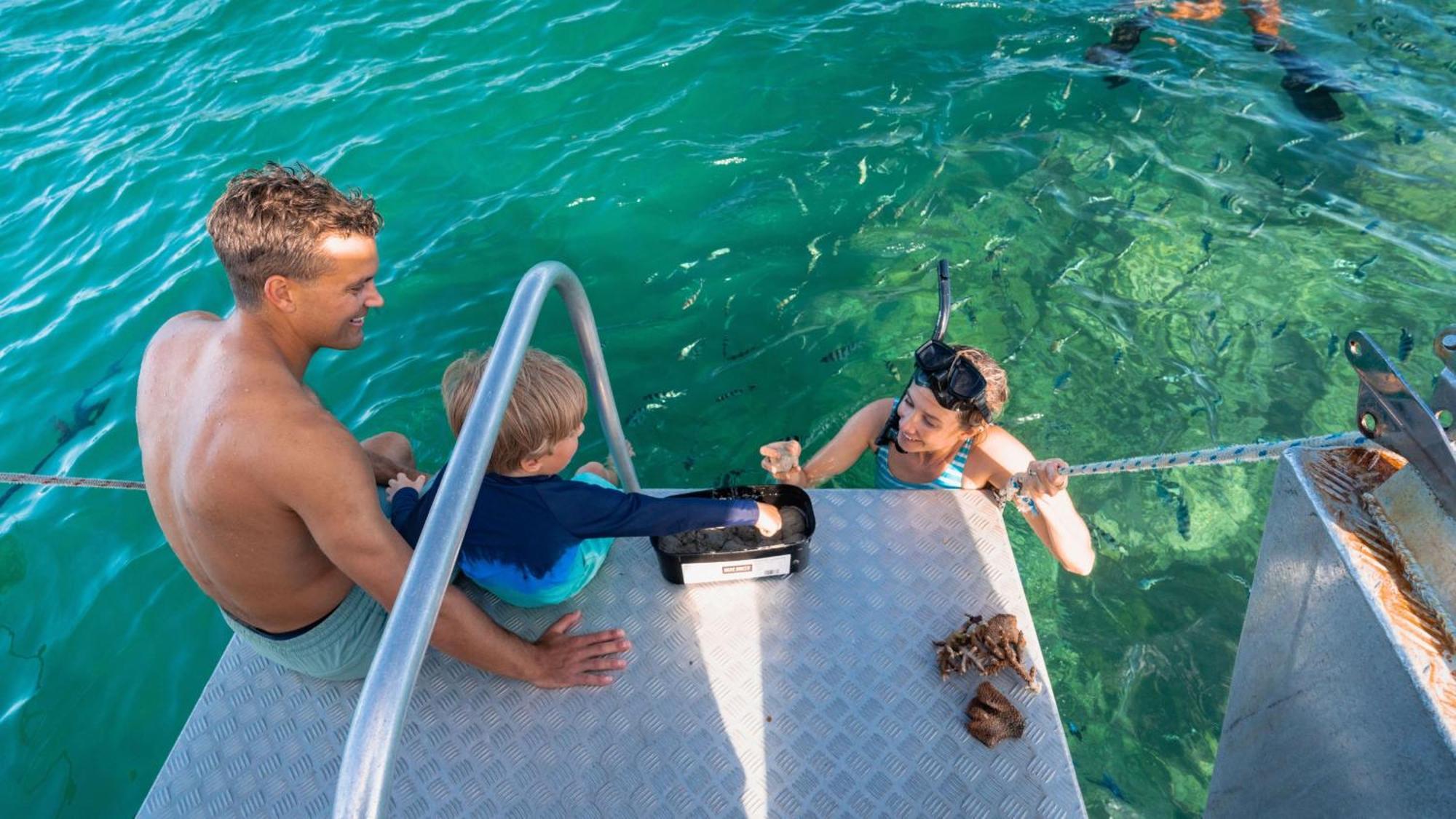 Intercontinental Fiji Golf Resort & Spa By Ihg Natadola Extérieur photo Visitors feeding stingrays at Stingray City